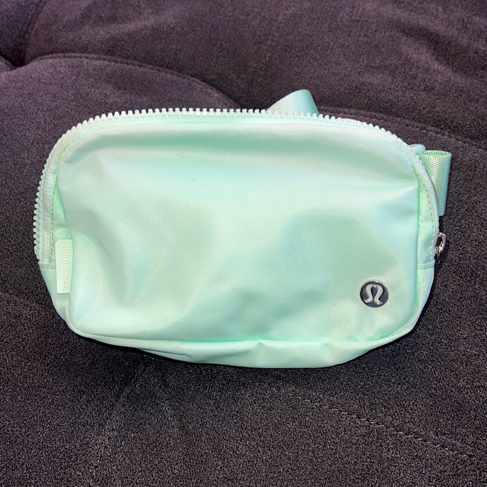 Everywhere Belt Bag
